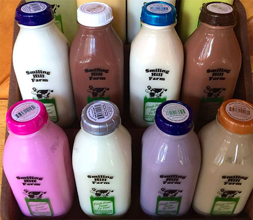 Farm Fresh White and Flavored Milks in Westbrook, Maine.