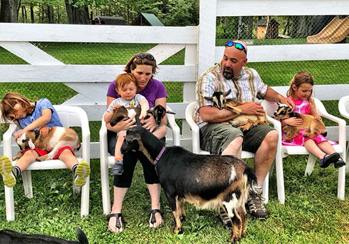 Snuggle a baby goat at Smiling Hill Farm in Westbrook, Maine