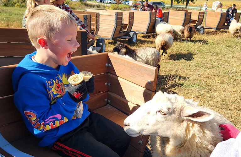 767x500_Fall_BoyFeedingSheep