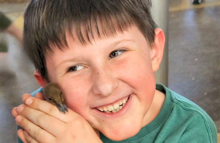 767x500_Spring_BoyWithDuckiling